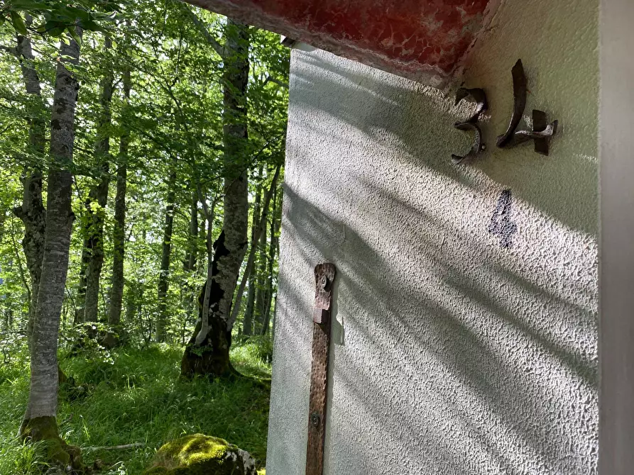 Immagine 3 di Baita in vendita  in SP 43 4 a Pietracamela
