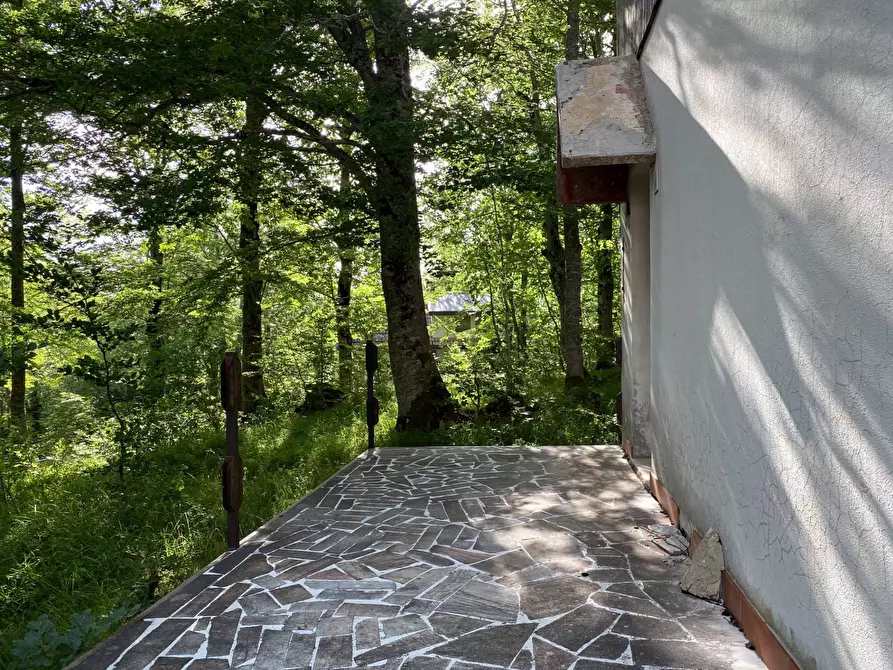 Immagine 4 di Baita in vendita  in SP 43 4 a Pietracamela