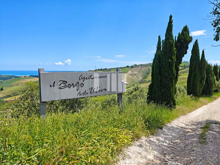 Immagine 31 di Villa in vendita  in Località Volpe 7 a Roseto Degli Abruzzi