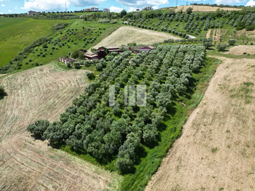 Immagine 8 di Villa in vendita  in Località Volpe 7 a Roseto Degli Abruzzi