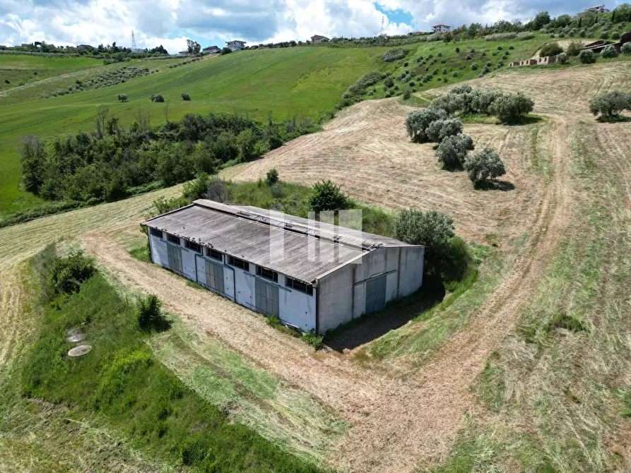 Immagine 30 di Villa in vendita  in Località Volpe 7 a Roseto Degli Abruzzi