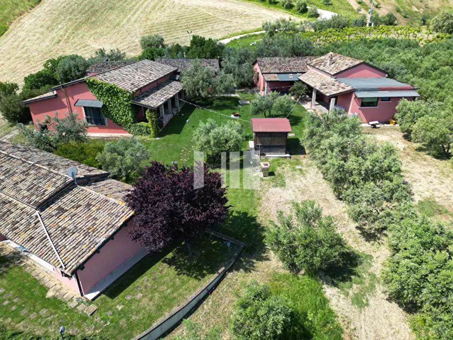 Immagine 6 di Villa in vendita  in Località Volpe 7 a Roseto Degli Abruzzi