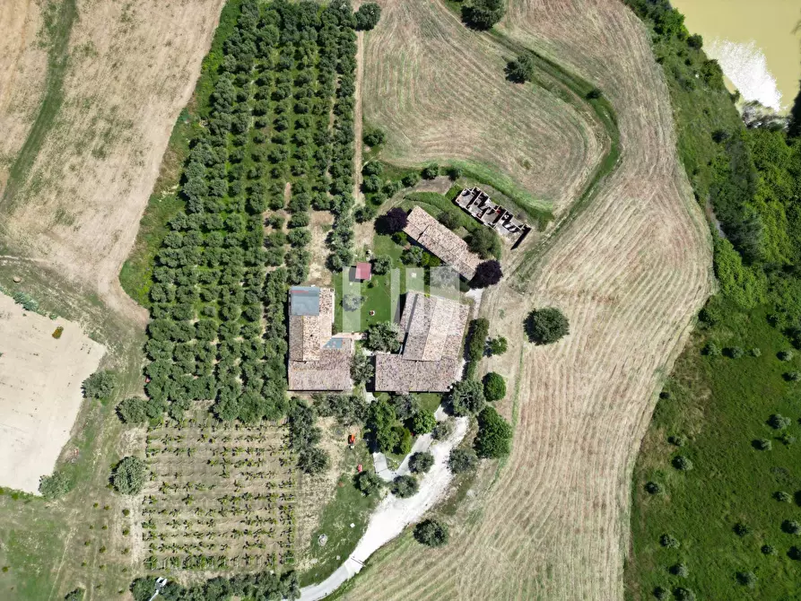 Immagine 2 di Villa in vendita  in Località Volpe 7 a Roseto Degli Abruzzi