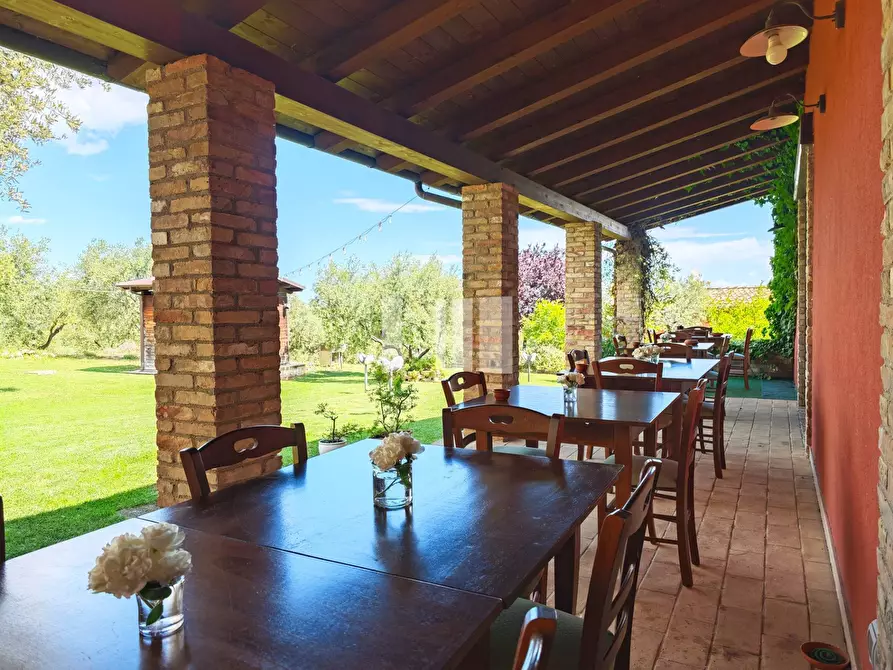 Immagine 16 di Villa in vendita  in Località Volpe 7 a Roseto Degli Abruzzi