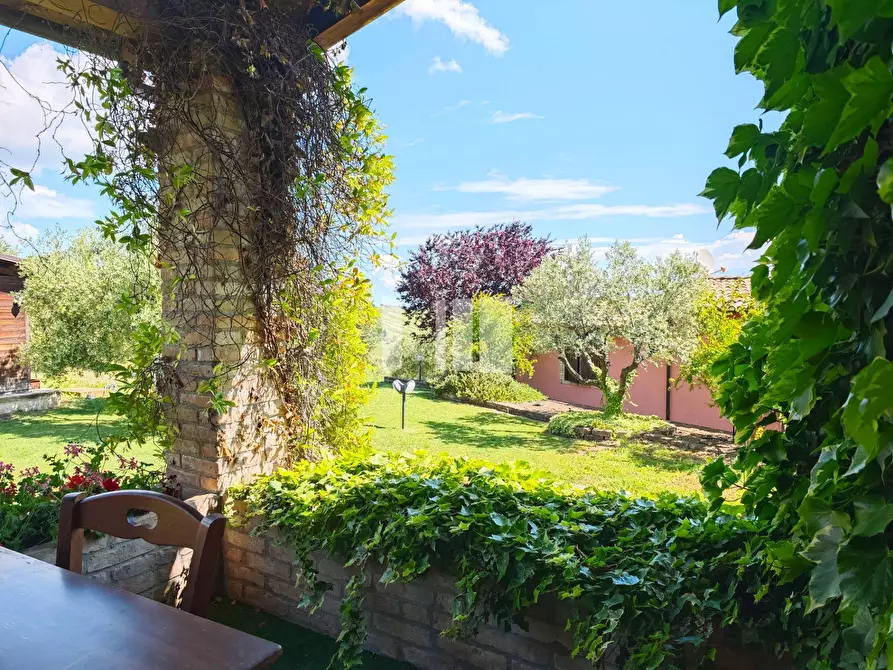 Immagine 17 di Villa in vendita  in Località Volpe 7 a Roseto Degli Abruzzi