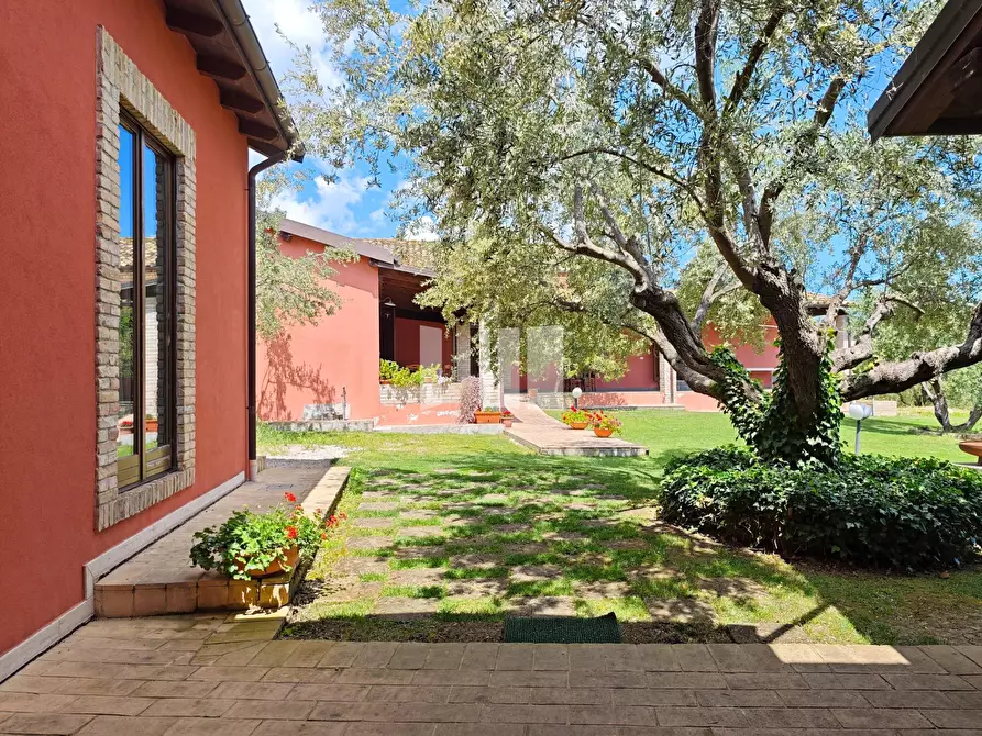 Immagine 15 di Villa in vendita  in Località Volpe 7 a Roseto Degli Abruzzi