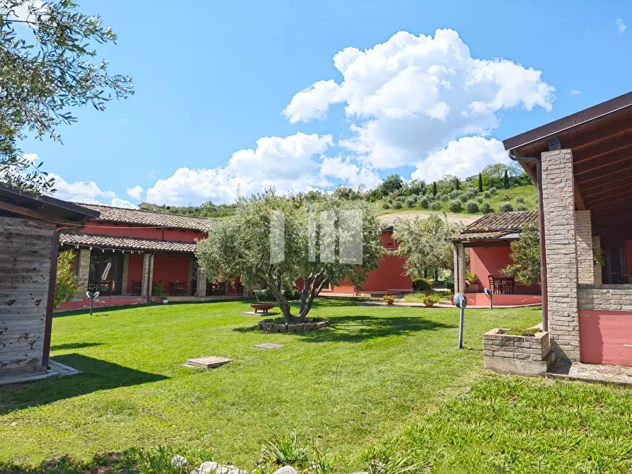 Immagine 22 di Villa in vendita  in Località Volpe 7 a Roseto Degli Abruzzi