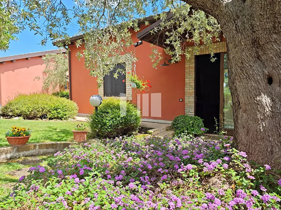 Immagine 24 di Villa in vendita  in Località Volpe 7 a Roseto Degli Abruzzi