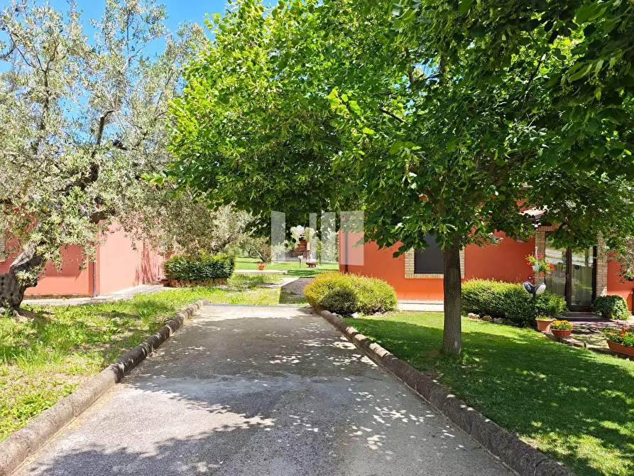 Immagine 23 di Villa in vendita  in Località Volpe 7 a Roseto Degli Abruzzi