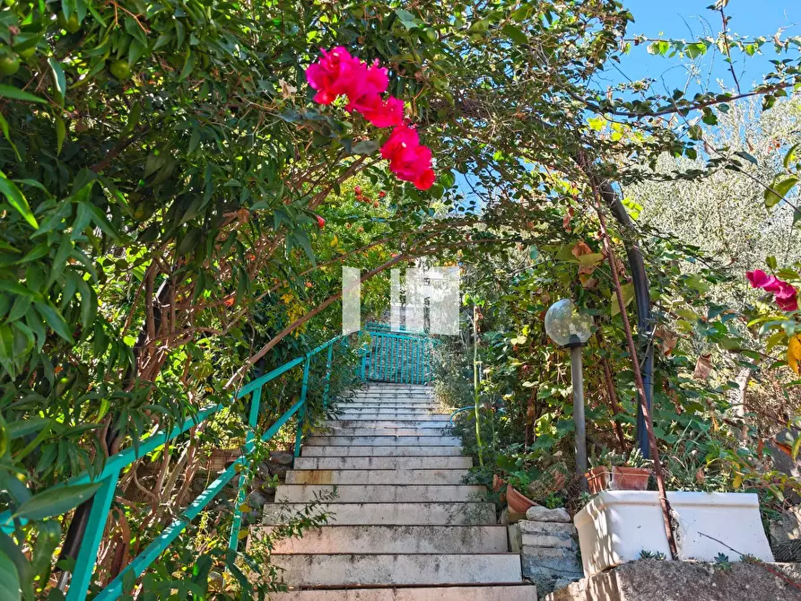 Immagine 4 di Villa in vendita  in Via Ventiquattro Maggio 52 a Giulianova