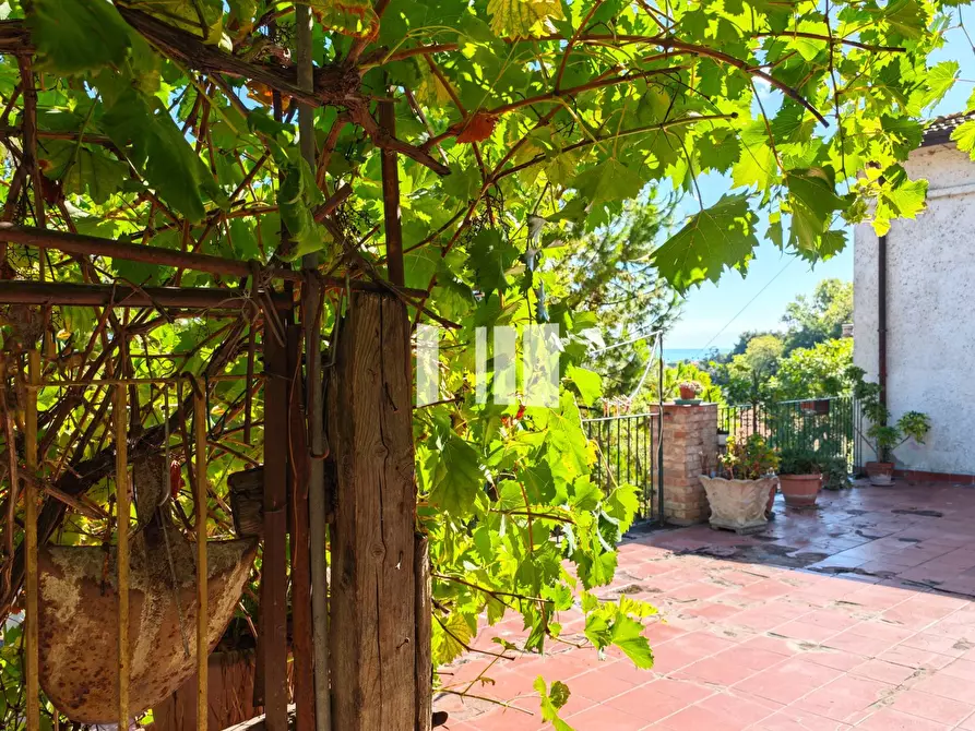 Immagine 15 di Villa in vendita  in Via Ventiquattro Maggio 52 a Giulianova