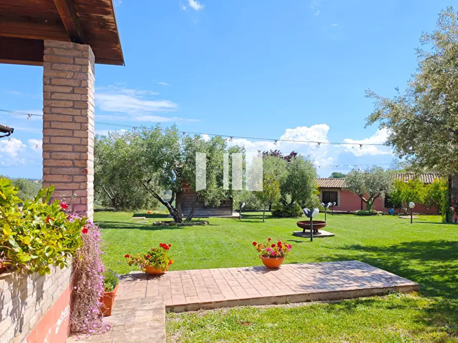 Immagine 12 di Villa in vendita  in Località Volpe 7 a Roseto Degli Abruzzi