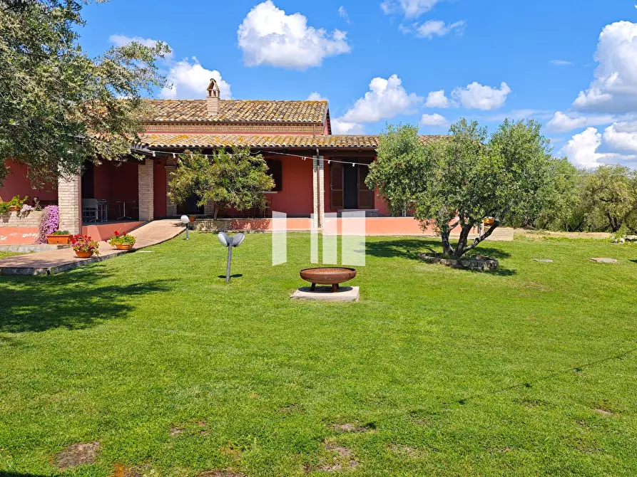 Immagine 13 di Villa in vendita  in Località Volpe 7 a Roseto Degli Abruzzi