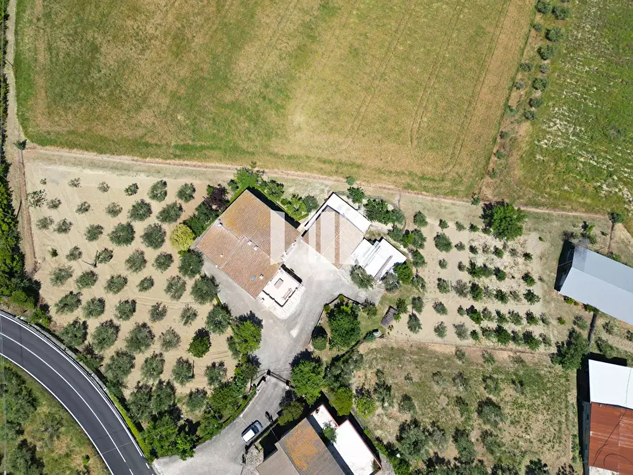 Immagine 2 di Villa in vendita  in Contrada Santa Croce 14 a Notaresco