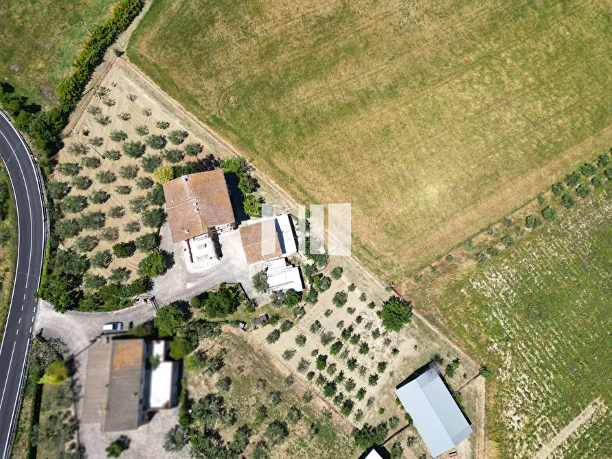 Immagine 3 di Villa in vendita  in Contrada Santa Croce 14 a Notaresco