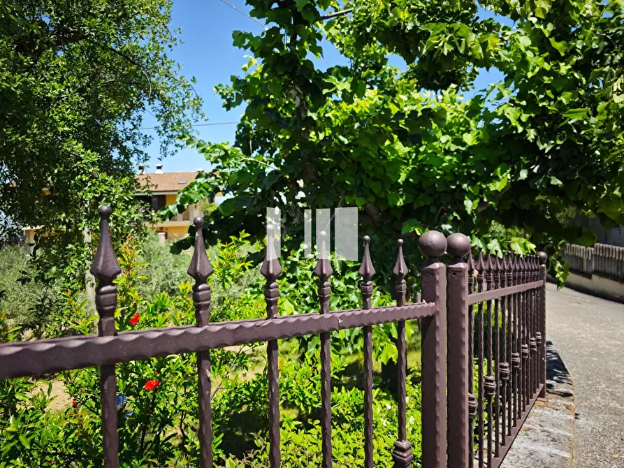 Immagine 4 di Villa in vendita  in Contrada Santa Croce 14 a Notaresco