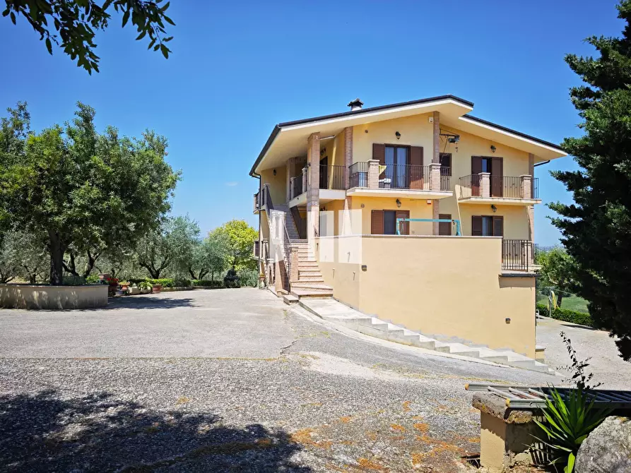 Immagine 10 di Villa in vendita  in Contrada Santa Croce 14 a Notaresco