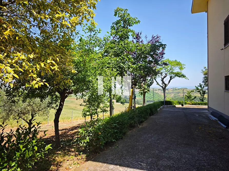 Immagine 11 di Villa in vendita  in Contrada Santa Croce 14 a Notaresco