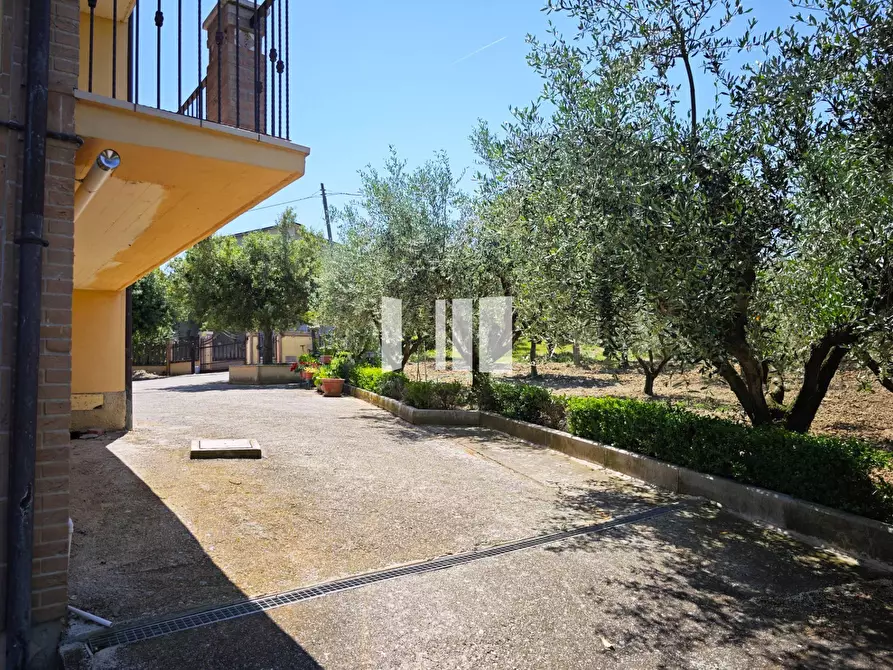 Immagine 12 di Villa in vendita  in Contrada Santa Croce 14 a Notaresco