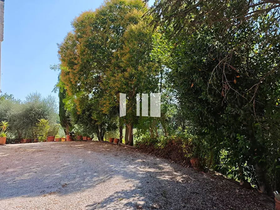 Immagine 2 di Villa in vendita  in Cda Forcella/Via Nazionale snc a Teramo