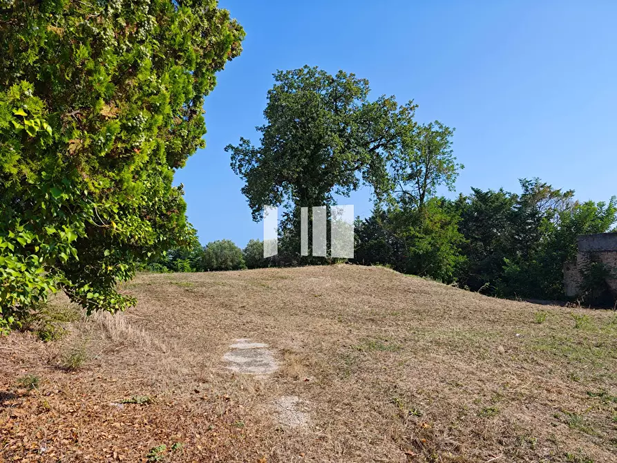 Immagine 10 di Terreno residenziale in vendita  in via Brecciola a Giulianova