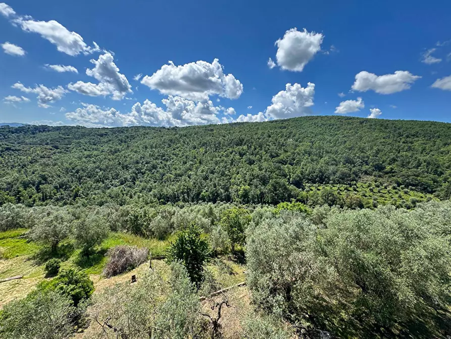 Immagine 3 di Appartamento in vendita  in via Santa Zanobi 1 a Scandicci