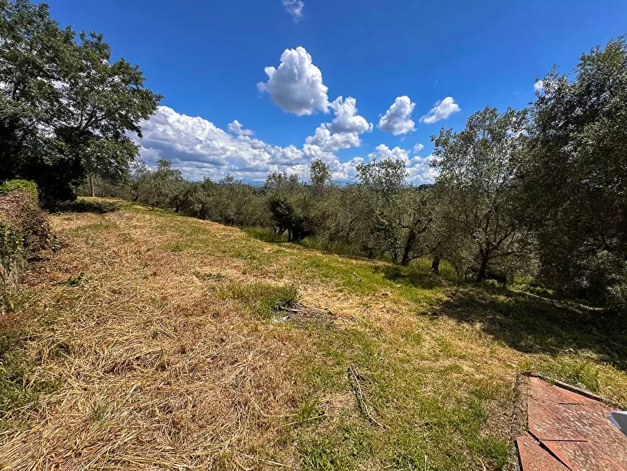 Immagine 15 di Appartamento in vendita  in via Santa Zanobi 1 a Scandicci