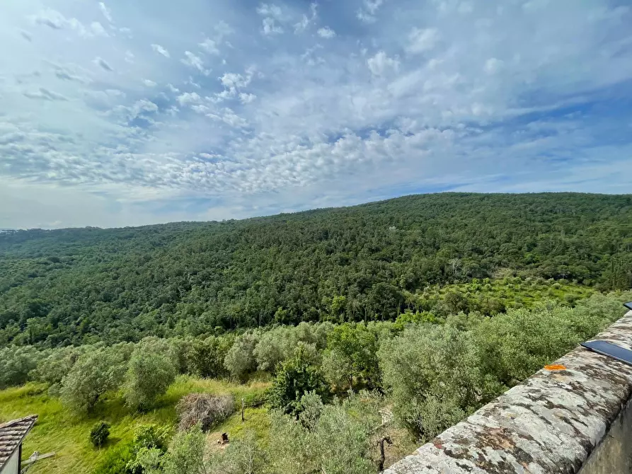 Immagine 2 di Appartamento in vendita  in via Santa Zanobi 1 a Scandicci