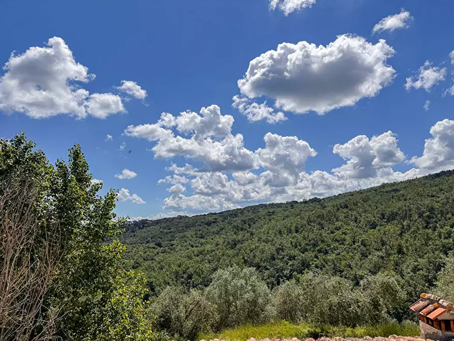 Immagine 3 di Appartamento in vendita  in via Santa Zanobi 1 a Scandicci