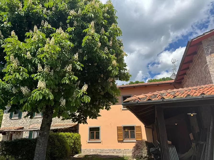 Immagine 10 di Villa in vendita  in via di pescaia a Pratovecchio Stia