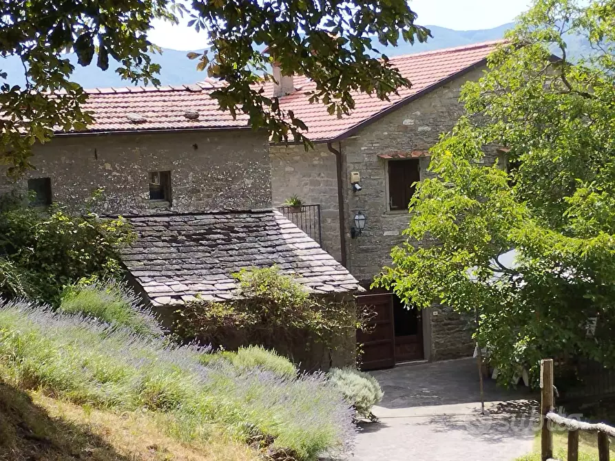 casa indipendente in vendita a Borgo San Lorenzo in zona Casaglia