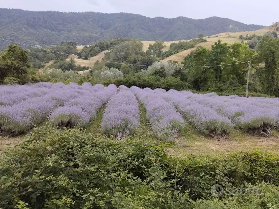 Immagine 8 di Rustico / casale in vendita  in Località Casaglia a Borgo San Lorenzo