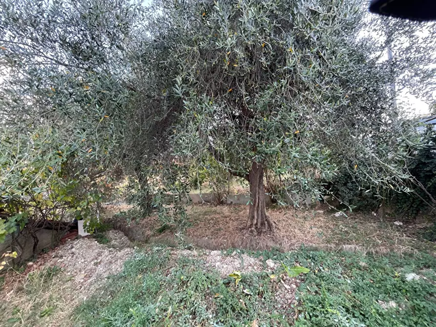 Immagine 2 di Appartamento in vendita  in via della Repubblica 29 a Pontassieve