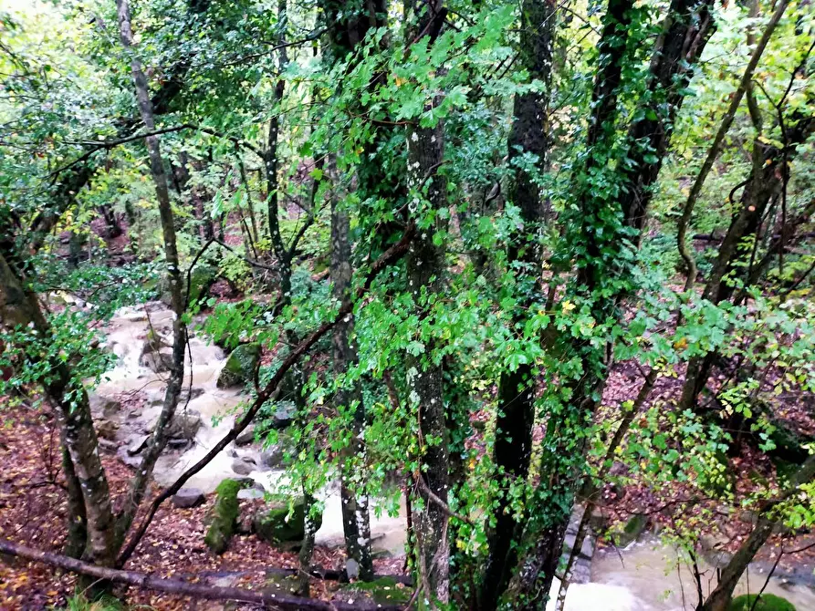 Immagine 10 di Rustico / casale in vendita  in Via del Giogo 4 a Scarperia E San Piero