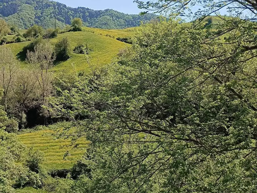 Immagine 10 di Rustico / casale in vendita  in Località Casaglia a Borgo San Lorenzo