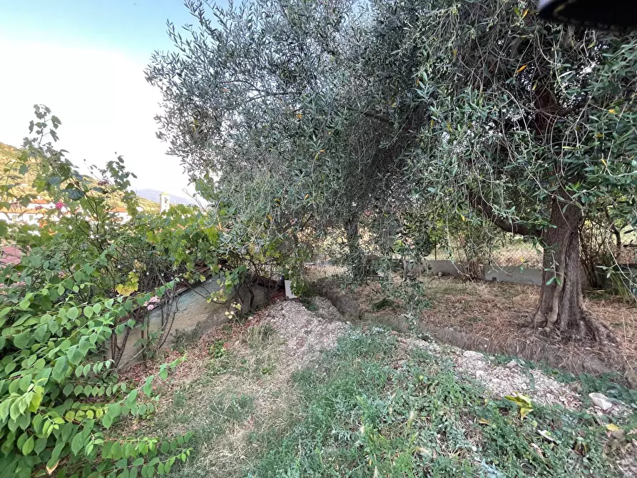 Immagine 11 di Appartamento in vendita  in via della Repubblica 29 a Pontassieve