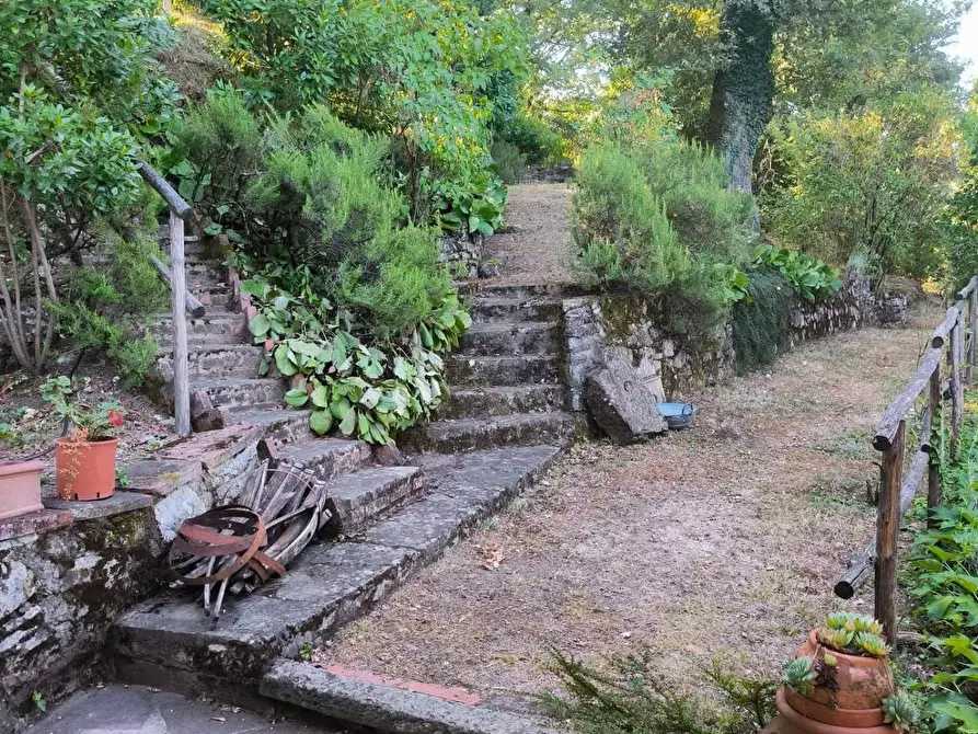 Immagine 30 di Rustico / casale in vendita  in località Busini 28 a Rufina