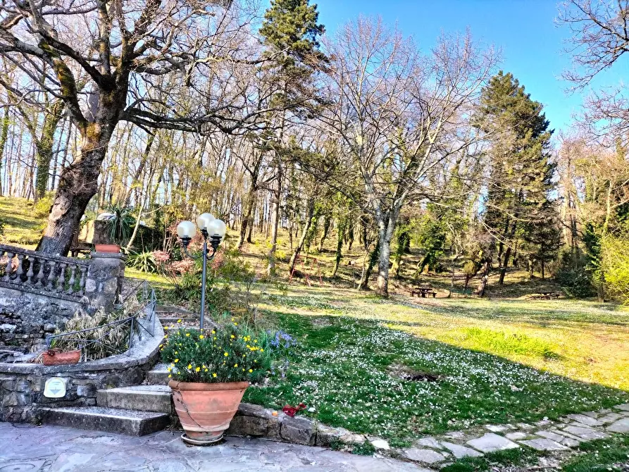 Immagine 2 di Attività commerciale in vendita  in Via di Galiga 21 a Pontassieve