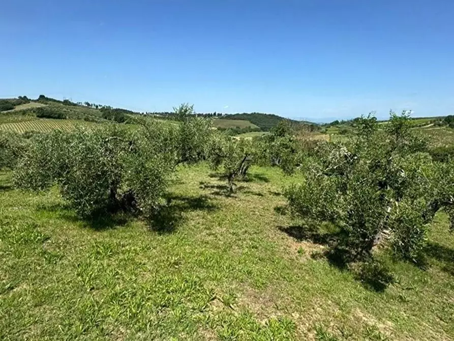 Immagine 12 di Villa in vendita  in Strada Provinciale Volterrana a Montespertoli