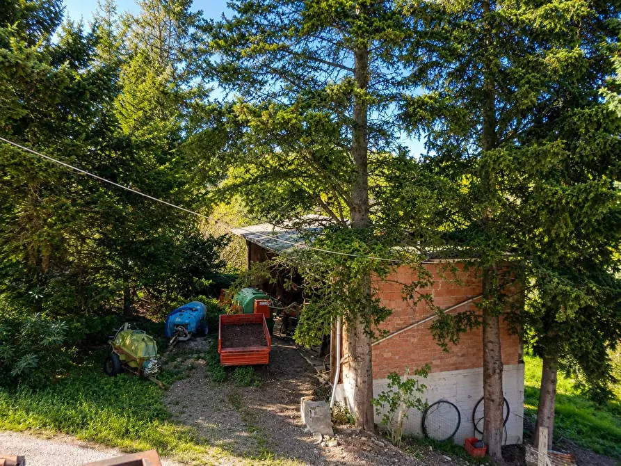 Immagine 13 di Rustico / casale in vendita  in Via Trecento a Montespertoli