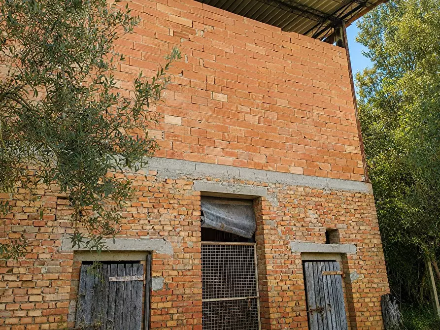Immagine 14 di Rustico / casale in vendita  in Via Trecento a Montespertoli