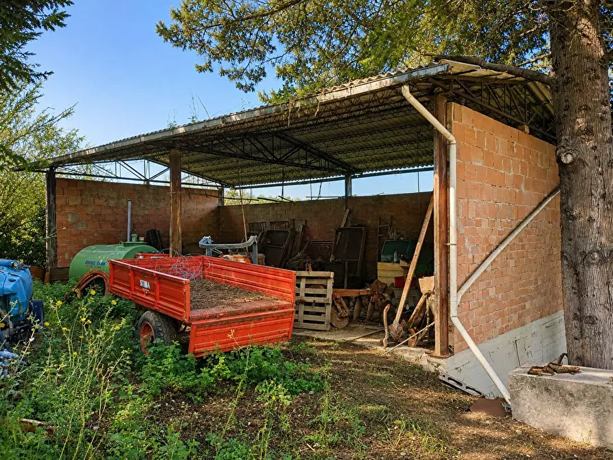 Immagine 15 di Rustico / casale in vendita  in Via Trecento a Montespertoli