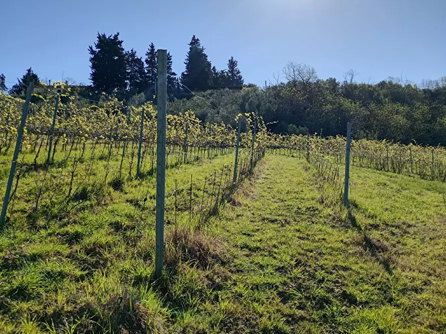 Immagine 10 di Rustico / casale in vendita  in Via Trecento a Montespertoli