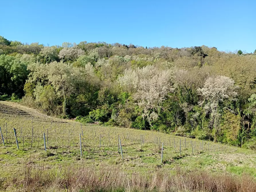 Immagine 12 di Rustico / casale in vendita  in Via Trecento a Montespertoli