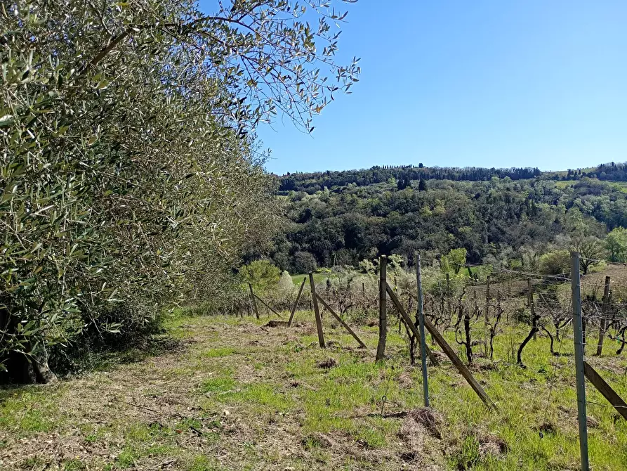 Immagine 17 di Rustico / casale in vendita  in Via Trecento a Montespertoli