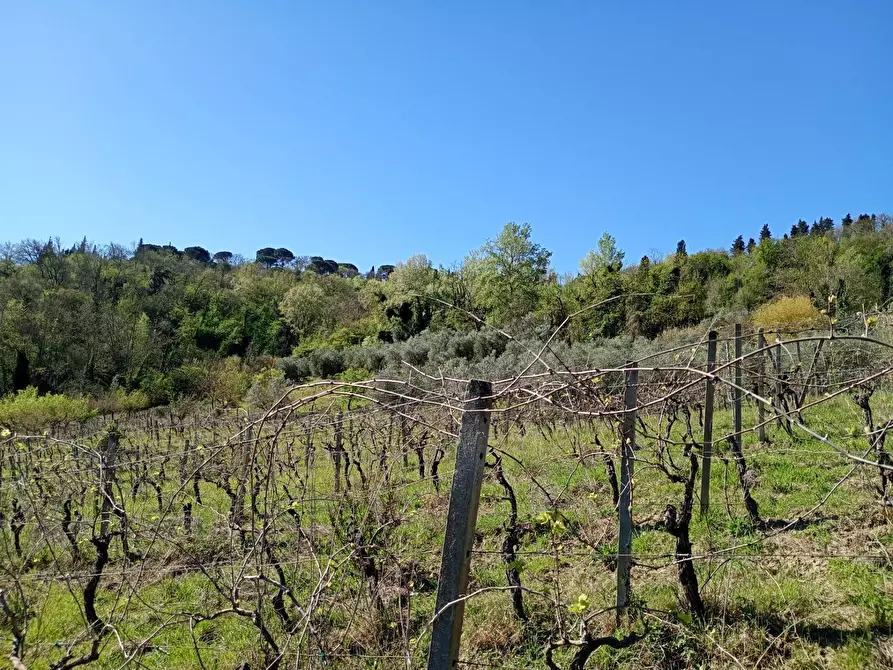 Immagine 19 di Rustico / casale in vendita  in Via Trecento a Montespertoli