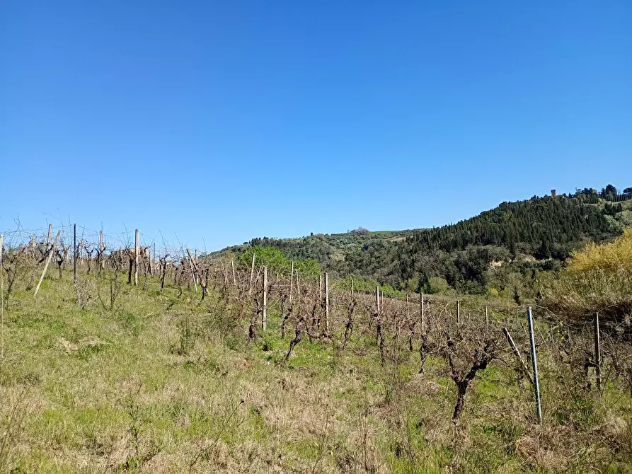 Immagine 22 di Rustico / casale in vendita  in Via Trecento a Montespertoli