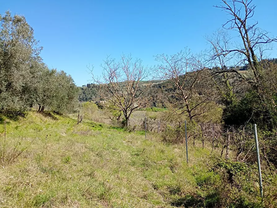 Immagine 24 di Rustico / casale in vendita  in Via Trecento a Montespertoli