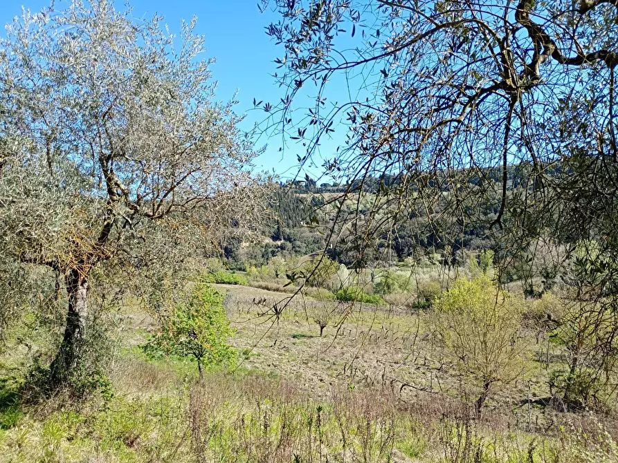 Immagine 25 di Rustico / casale in vendita  in Via Trecento a Montespertoli