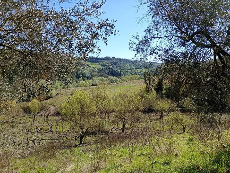 Immagine 26 di Rustico / casale in vendita  in Via Trecento a Montespertoli
